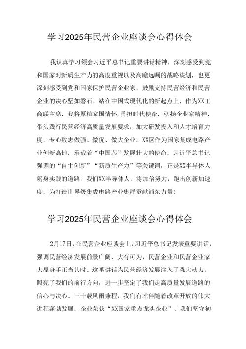 2025年私营企业学习民营企业座谈会个人心得体会 合计12份.docx