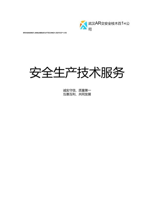 安全生产技术服务公司介绍.docx