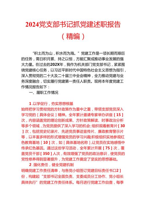 2024 党支部书记抓党建述职报告（精编）.docx