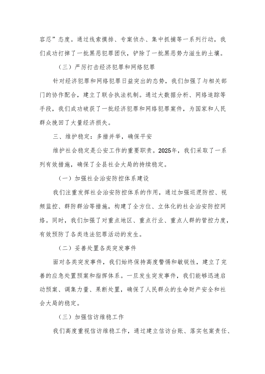 某副县长、公安局局长2025个人述职报告.docx_第3页
