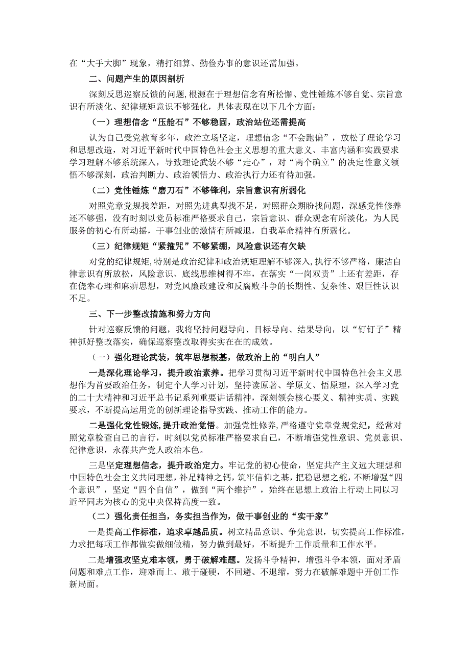 2024巡察整改专题民主生活会对照检查材料.docx_第2页