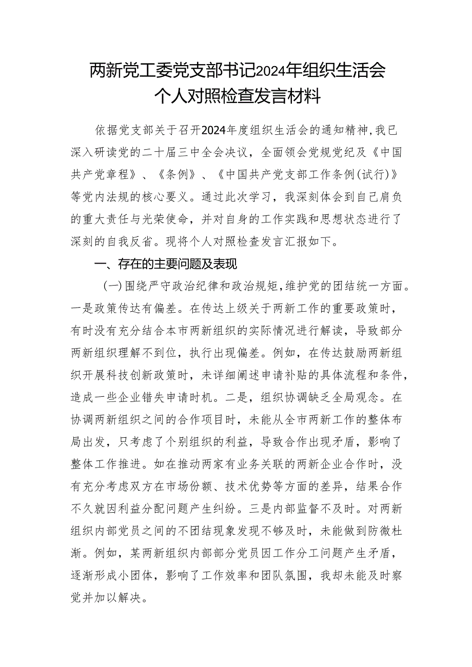 两新党工委党支部书记2024年组织生活会个人对照检查发言材料和民主生活会存在问题和意见建议.docx_第2页