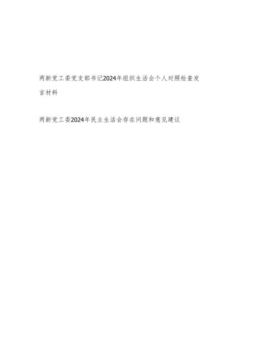 两新党工委党支部书记2024年组织生活会个人对照检查发言材料和民主生活会存在问题和意见建议.docx