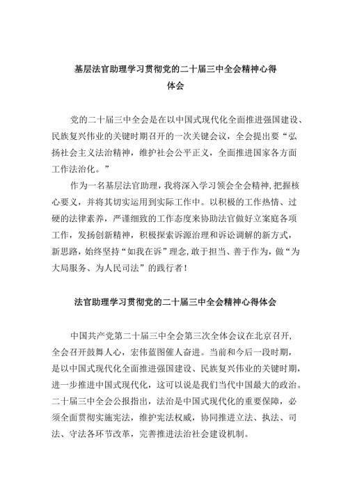 （11篇）基层法官助理学习贯彻党的二十三中全会精神心得体会（详细版）.docx