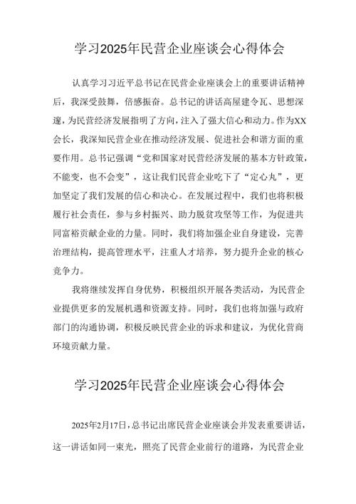 2025年私营企业学习民营企业座谈会个人心得体会 （合计5份）.docx