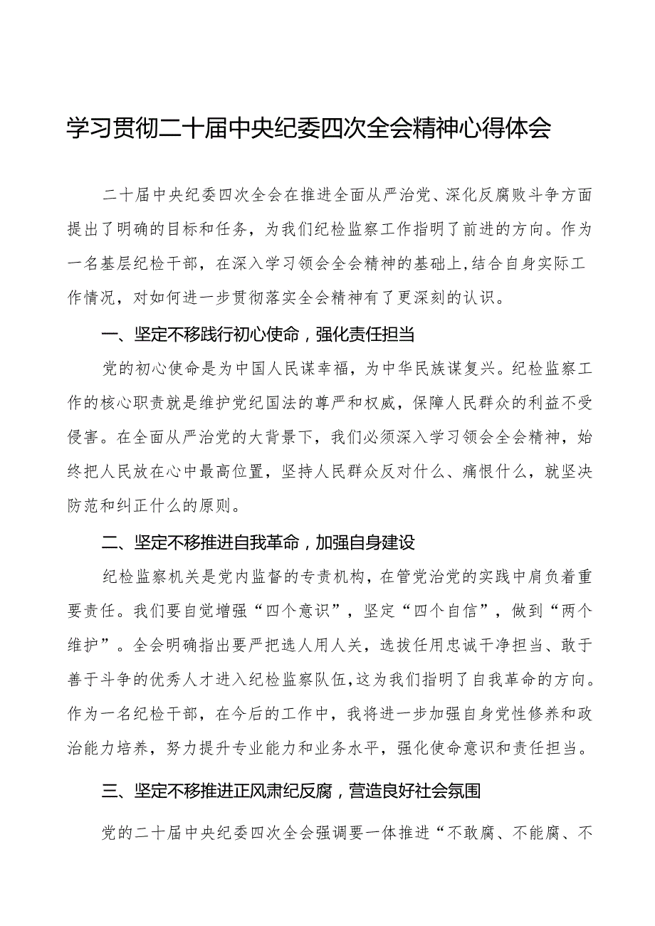 纪检干部学习贯彻二十中央纪委四次全会精神心得体会十篇.docx_第1页