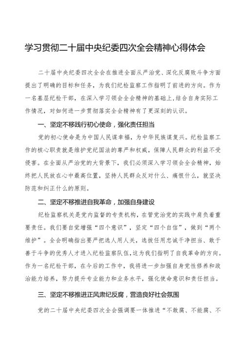 纪检干部学习贯彻二十中央纪委四次全会精神心得体会十篇.docx