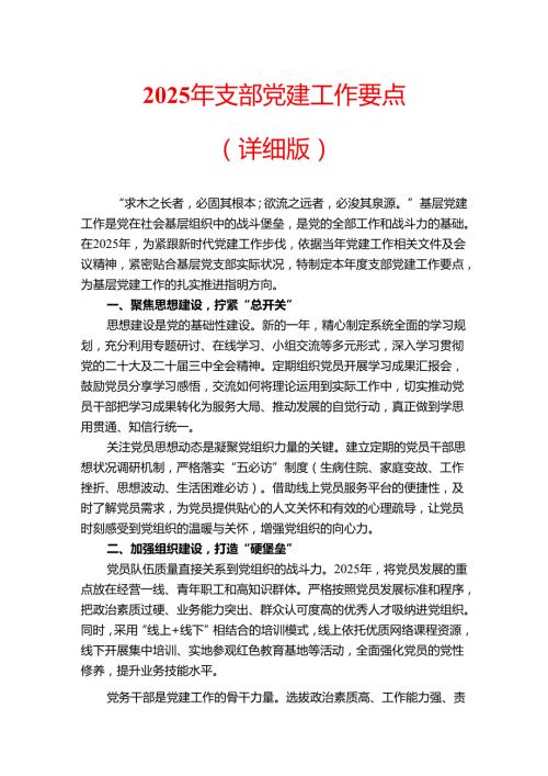 2025年支部党建工作要点（详细版）.docx