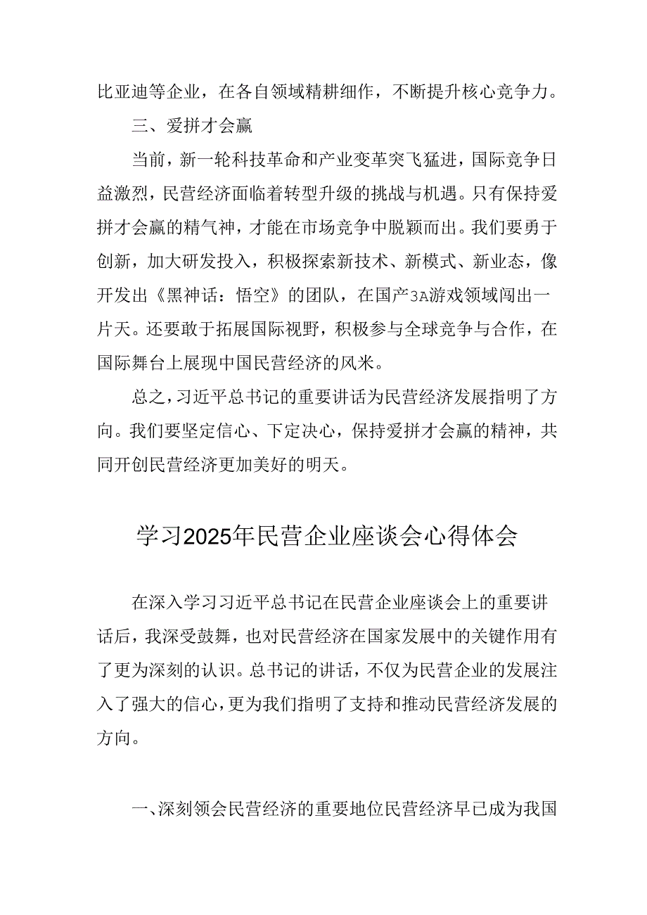 民营企业2025年学习《民营企业座谈会》个人心得感悟 （4份）93.docx_第2页
