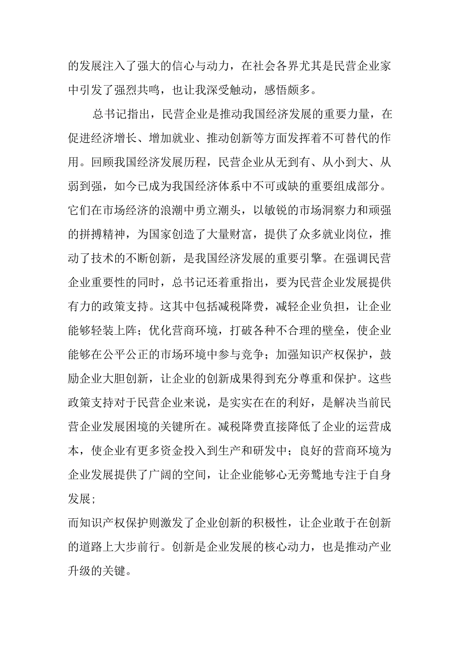 民营企业2025年学习《民营企业座谈会》个人心得感悟 （6份）61.docx_第2页