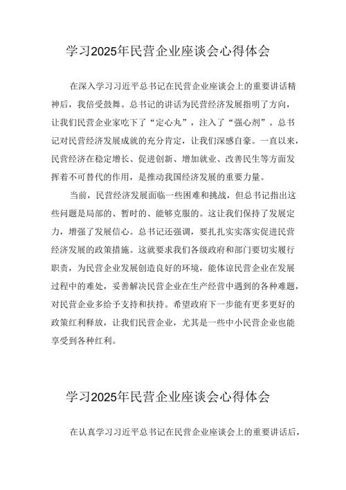 2025年私营企业学习民营企业座谈会个人心得感悟 （汇编10份）.docx