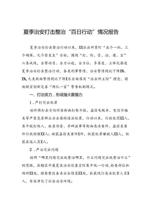 派出所2024“夏季行动”走深走实情况报告19篇.docx