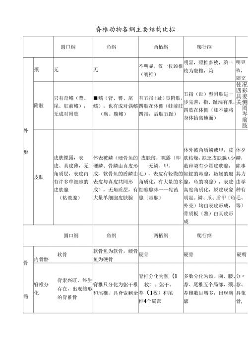 脊椎动物六纲主要结构的比较表1.docx