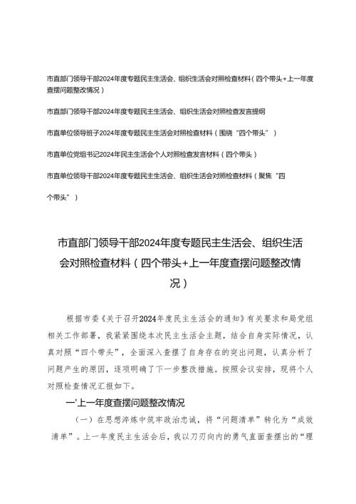 (带头增强党性、严守纪律、砥砺作风方面)市直部门领导干部20242025专题民主生活会、组织生活会对照检查材料（四个带头+上一查摆问题整改情况）.docx