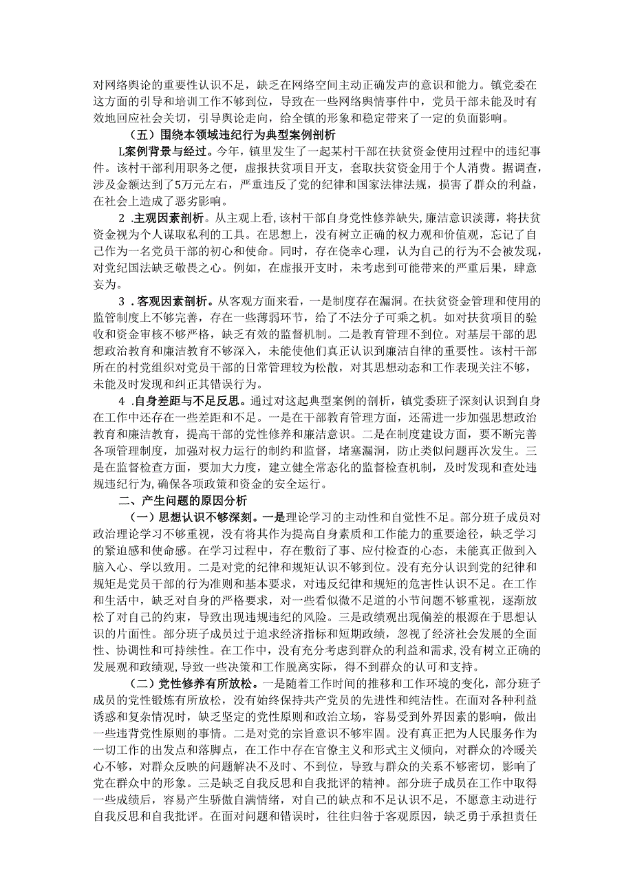 镇党委关于2024民主生活会班子对照检视材料.docx_第3页