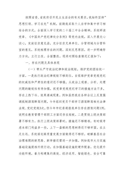 最新2024市政府办民主生活领导干部检查材料（四个带头）Word文档.docx