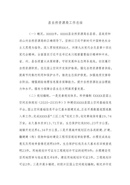 县自然资源局工作总结.docx