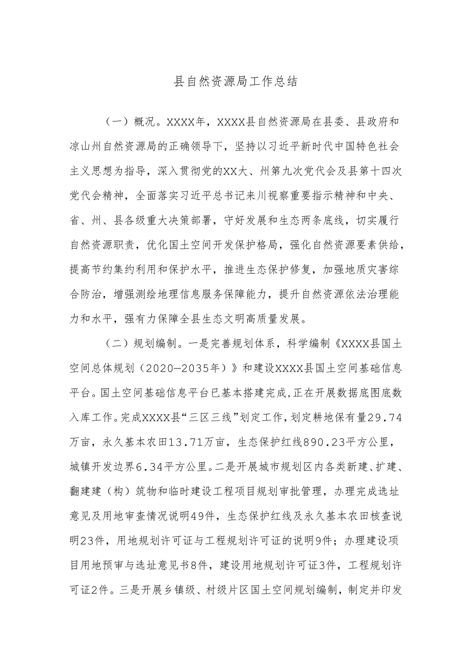 县自然资源局工作总结.docx_第1页