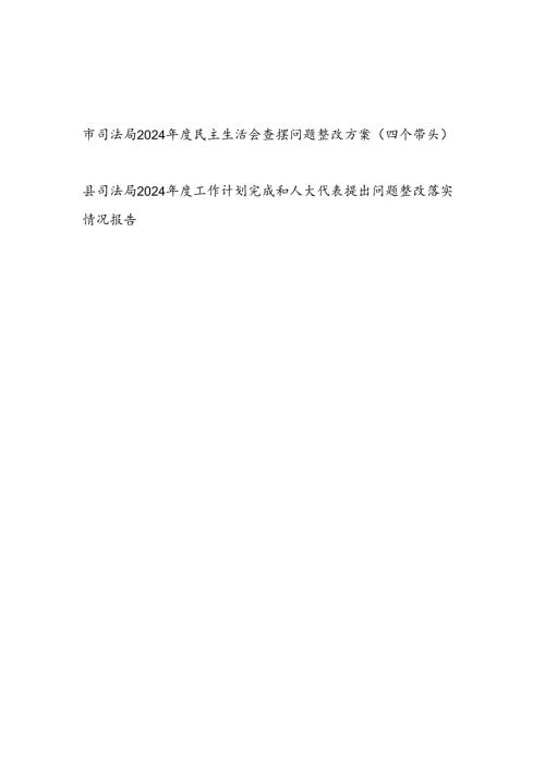 司法局四个带头2024民主生活会查摆问题整改方案和2024工作计划完成和人大代表提出问题整改落实情况报告.docx