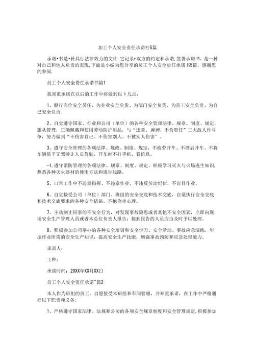 员工个人安全责任承诺书5篇.docx