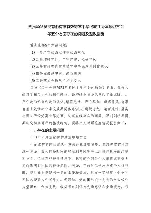 党员2025检视有形有感有效铸牢中华民族共同体意识方面等五个方面存在的问题及整改措施.docx