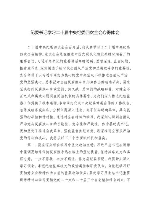 2025年纪委书记学习二十中央纪委四次全会心得体会.docx