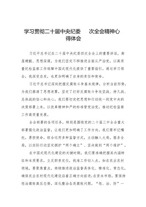 八篇纪检干部关于学习二十中央纪委四次全会精神的心得感悟.docx