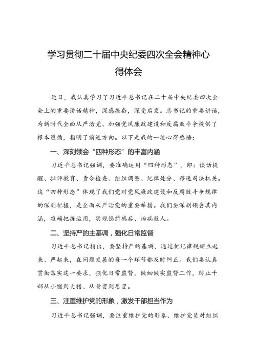 纪检干部学习贯彻二十中央纪委四次全会精神的心得体会十篇.docx