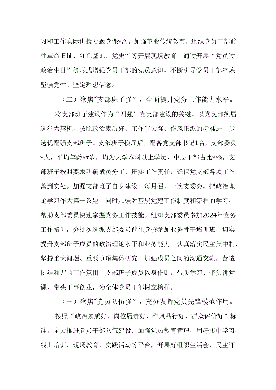 党支部书记2024年抓基层党建述职报告.docx_第2页