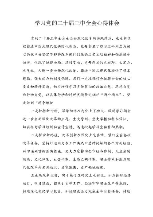 学习2024年学习党的二十三中全会个人心得体会 汇编13份.docx