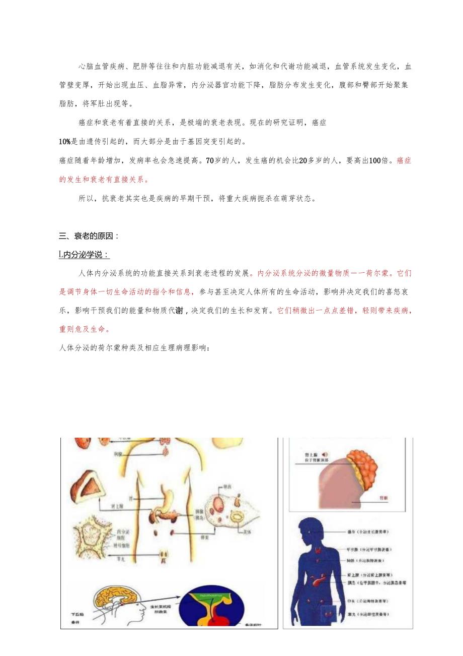 医美整形抗衰老基础知识课件.docx_第3页