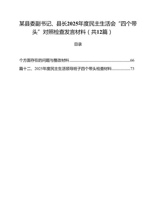 某县委副书记、县长2025民主生活会“四个带头”对照检查发言材料（共12篇）.docx