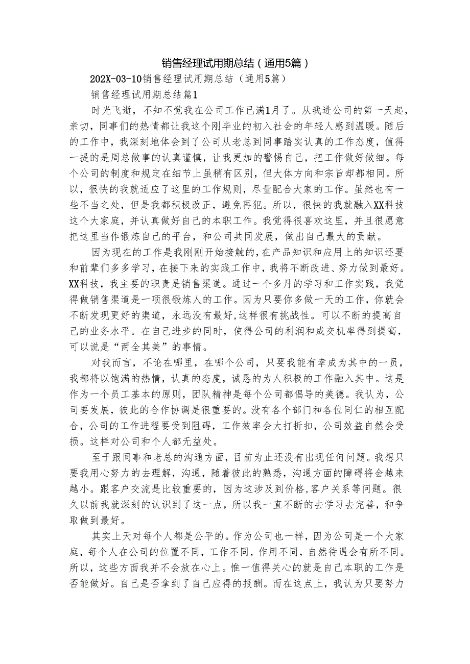 销售经理试用期总结（通用5篇）.docx_第1页