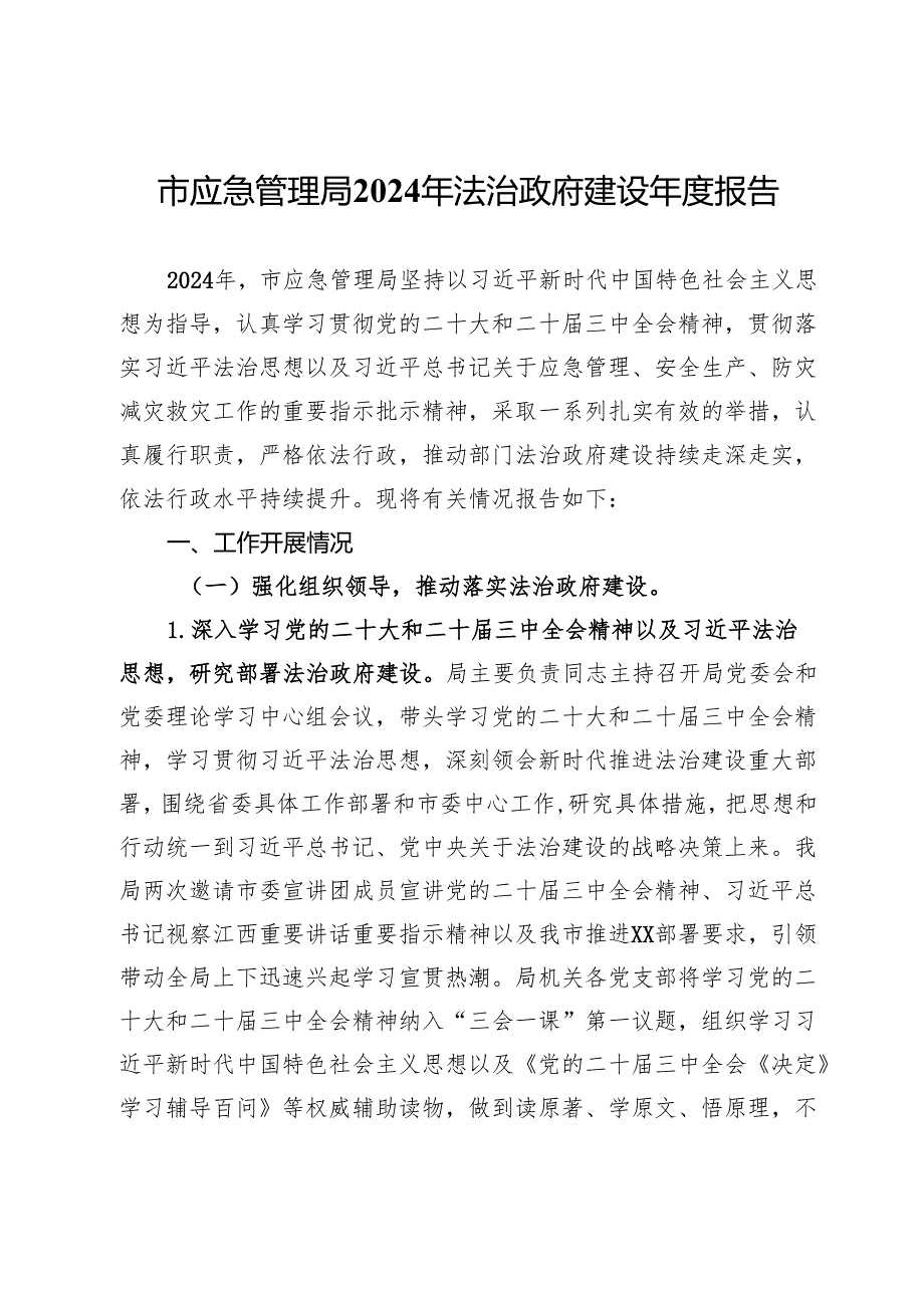 市应急管理局2024年法治政府建设报告.docx_第1页