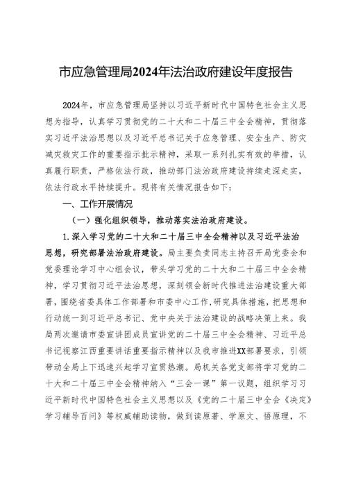 市应急管理局2024年法治政府建设报告.docx