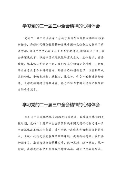党的二十三中全会精神学习心得感悟二十六篇.docx