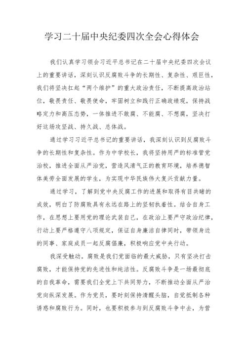 纪检干部学习二十中央纪委四次全会个人心得体会.docx