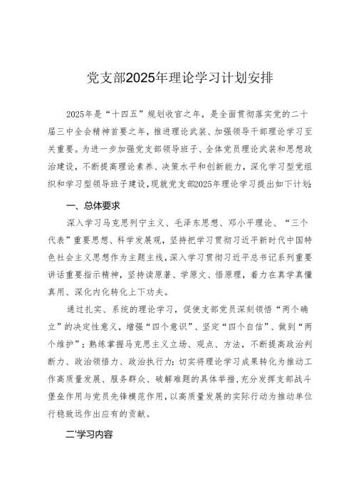 2025年党支部理论学习计划安排.docx
