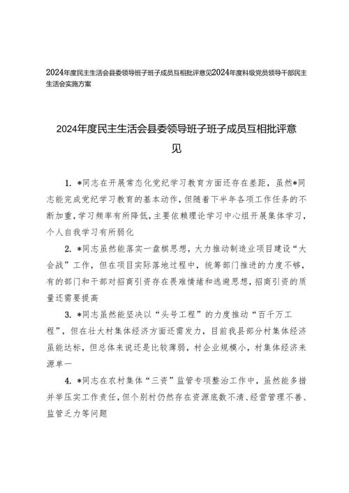 20242025民主生活会县委领导班子班子成员互相批评意见（2024科级党员领导干部民主生活会实施方案）.docx