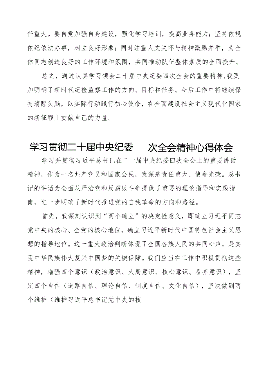学习二十中央纪委四次全会重要精神的心得体会三篇.docx_第2页