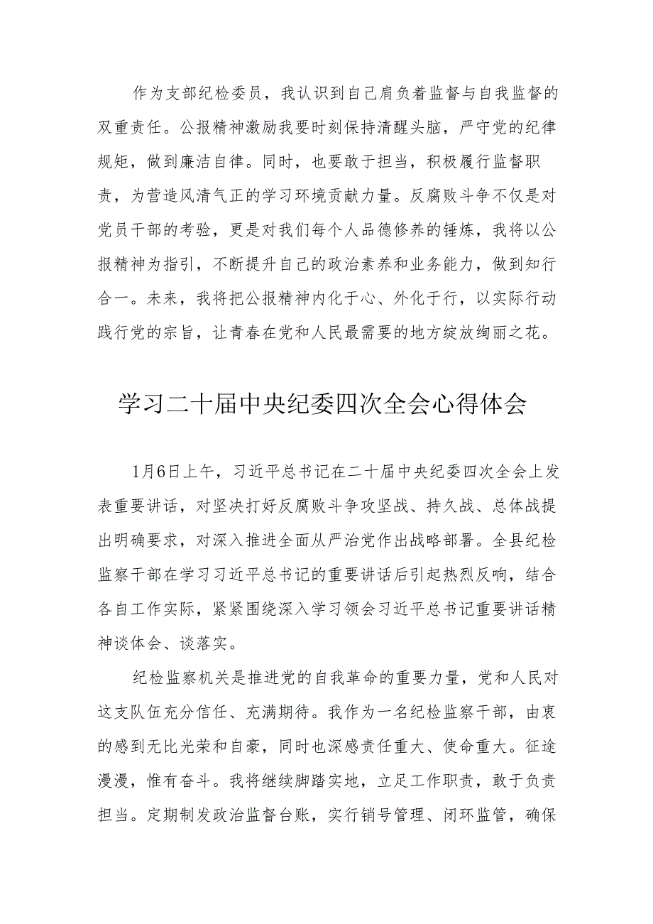 学习二十中央纪委四次全会心得体会 合计17份.docx_第2页