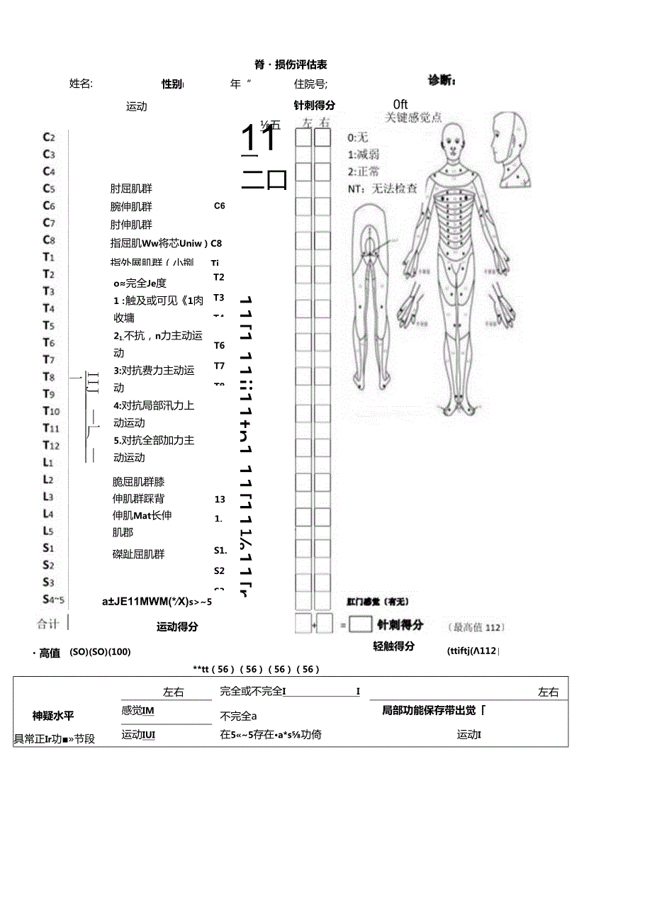 脊髓损伤评估表.docx_第1页