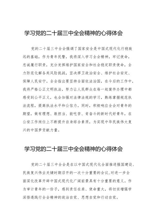 二十三中全会精神学习体会研讨发言稿最新32篇.docx