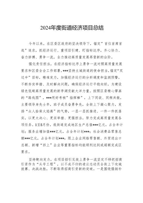 2024街道经济项目总结.docx