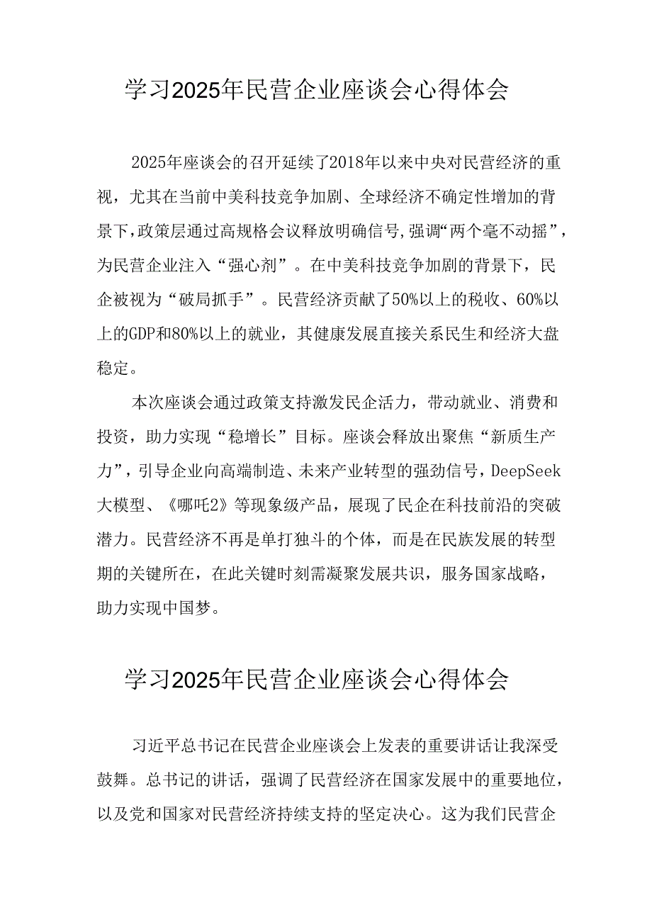 2025年私营企业学习民营企业座谈会个人心得感悟 （5份）(1).docx_第2页