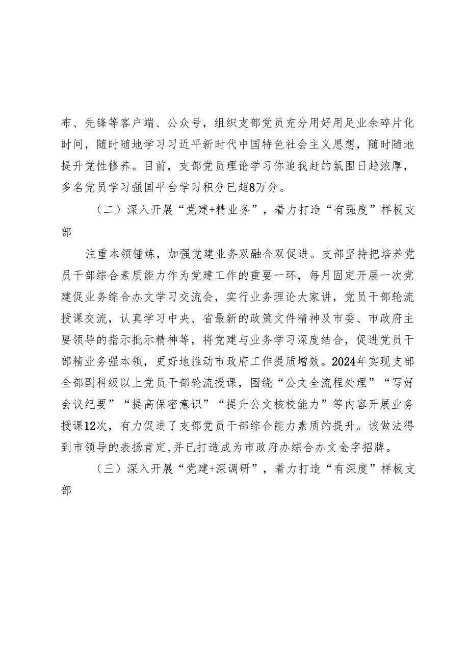市政府办第三党支部抓基层党建述职报告20242025.docx_第2页