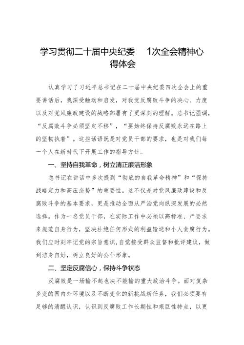 纪检干部学习贯彻中央纪委二十四次全会精神的心得体会十篇.docx
