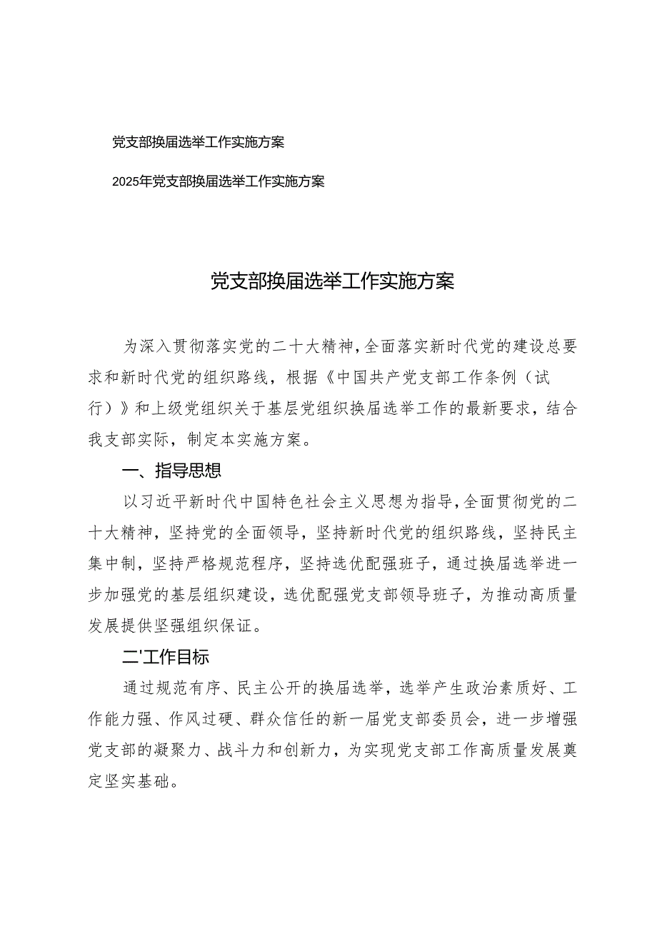 2025年党支部换选举工作实施方案.docx_第1页