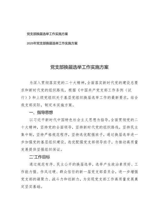 2025年党支部换选举工作实施方案.docx