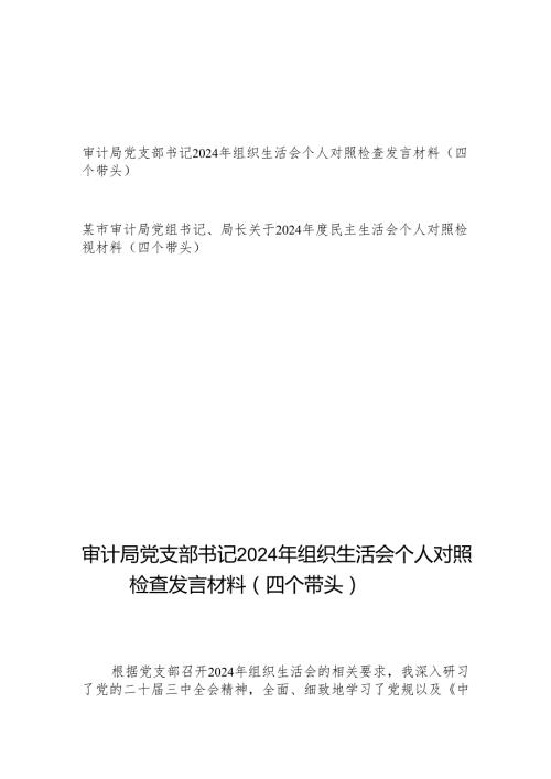 审计局党支部书记党组书记局长2024组织生活会个人对照检查发言材料2篇（四个带头）.docx